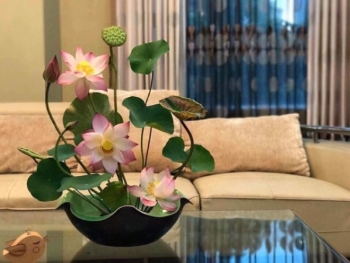 Bát thả hoa ban thần tài đường kính 23cm kèm chân đế